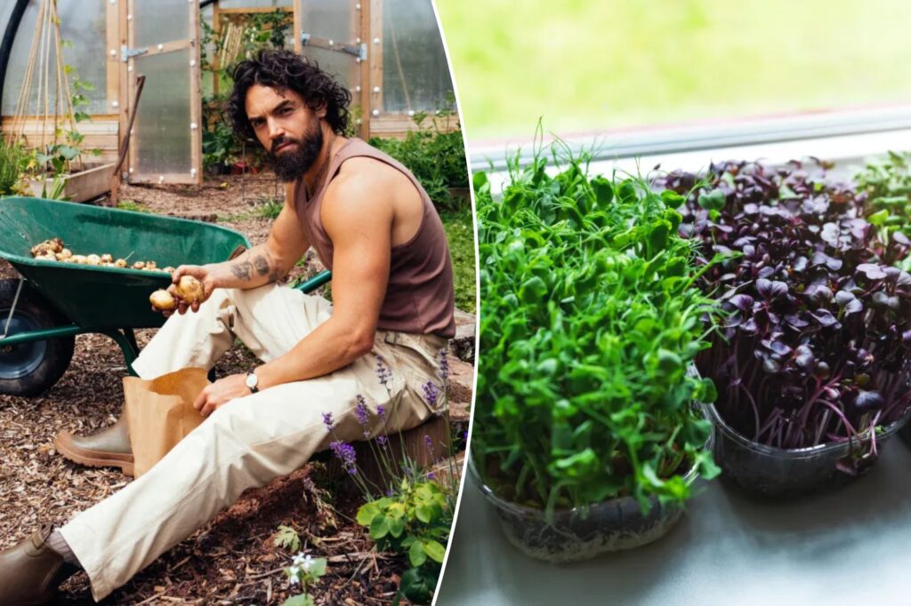 3 easy and healthy foods you can grow at home even if you only have a window sill