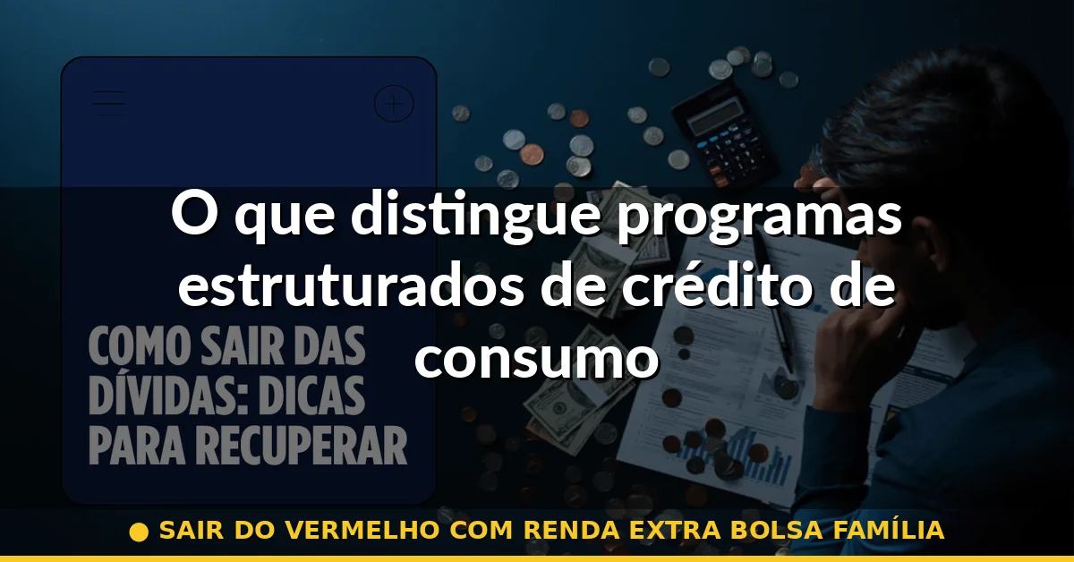 O que distingue programas estruturados de crédito de consumo — sair do vermelho com renda extra bolsa família